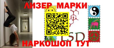 прущие грибы Будённовск