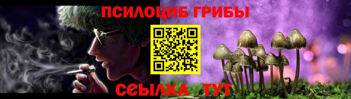 Галлюциногенные грибы мицелий Можайск